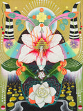 King of Pentacles
