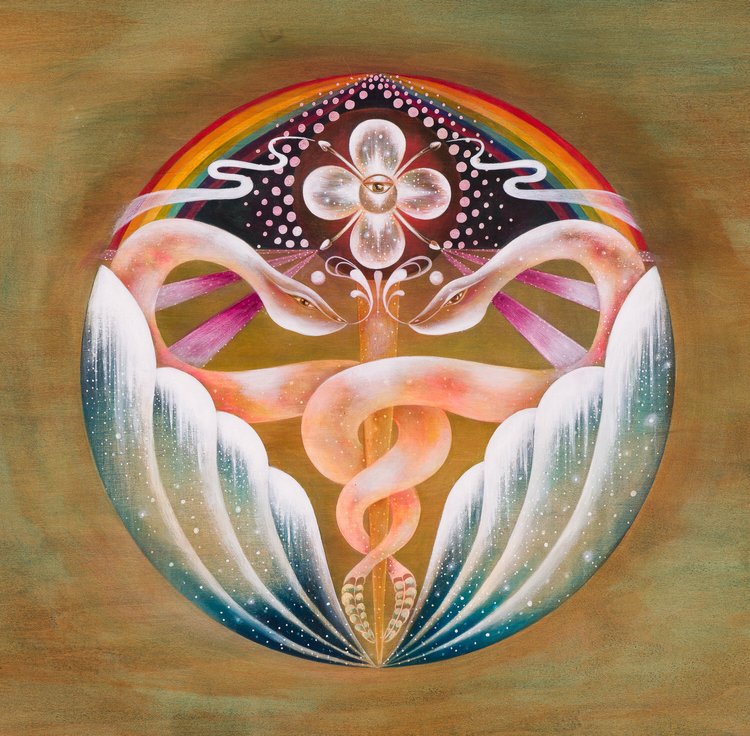Rattlesnakes & Rainbows