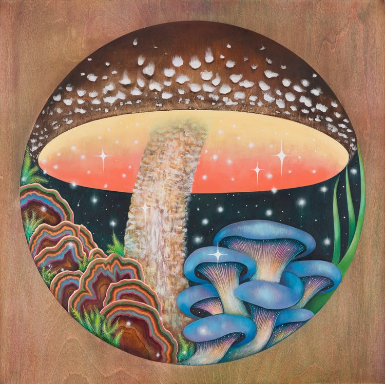Low Country Fungi